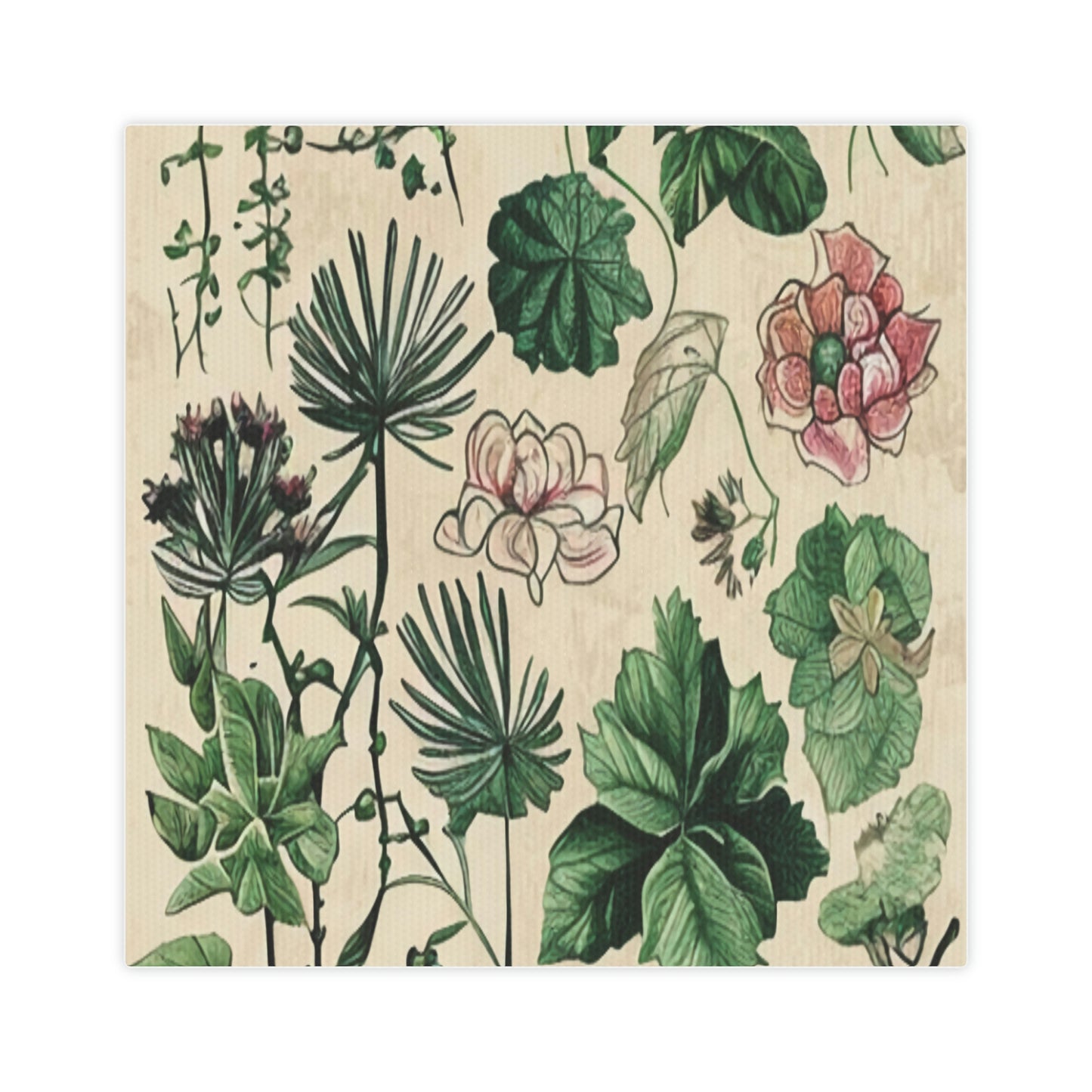 Vintage Botanical Portrait: A Timeless Masterpiece