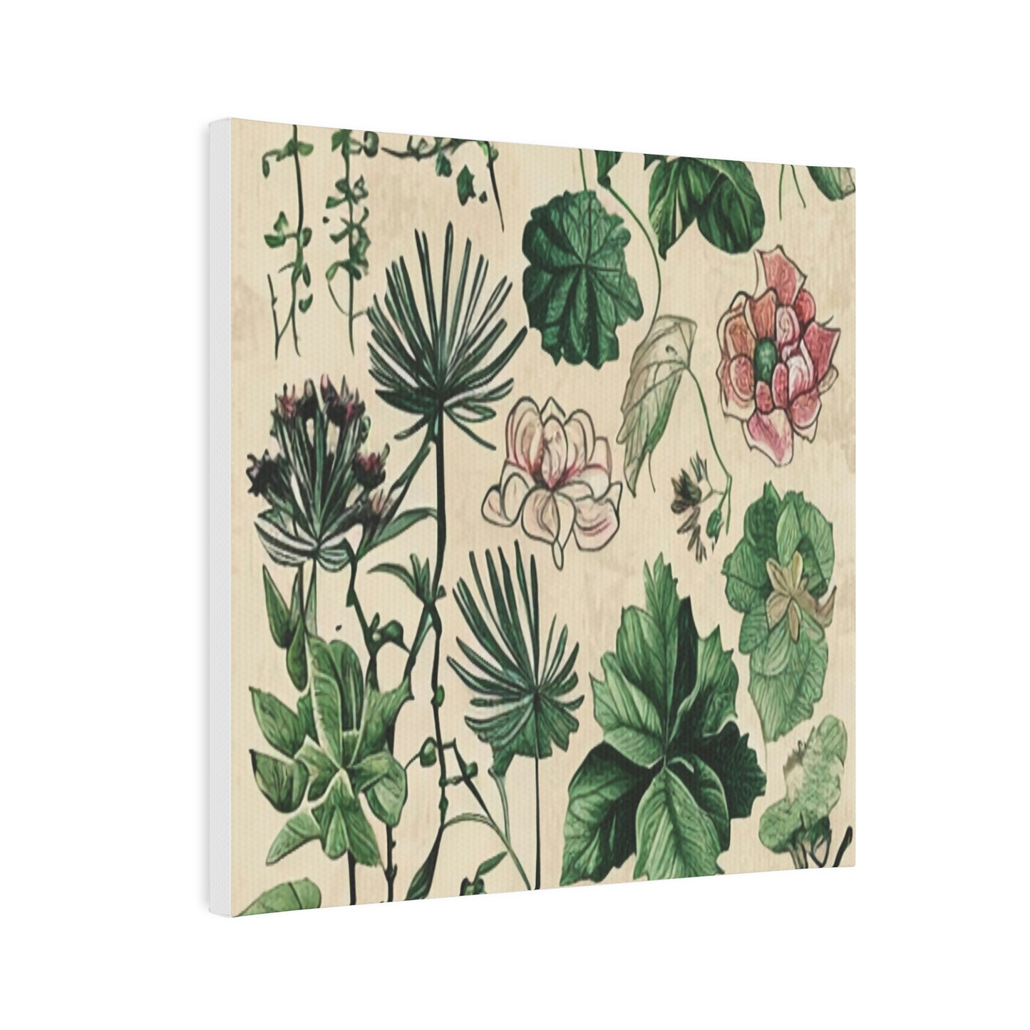 Vintage Botanical Portrait: A Timeless Masterpiece