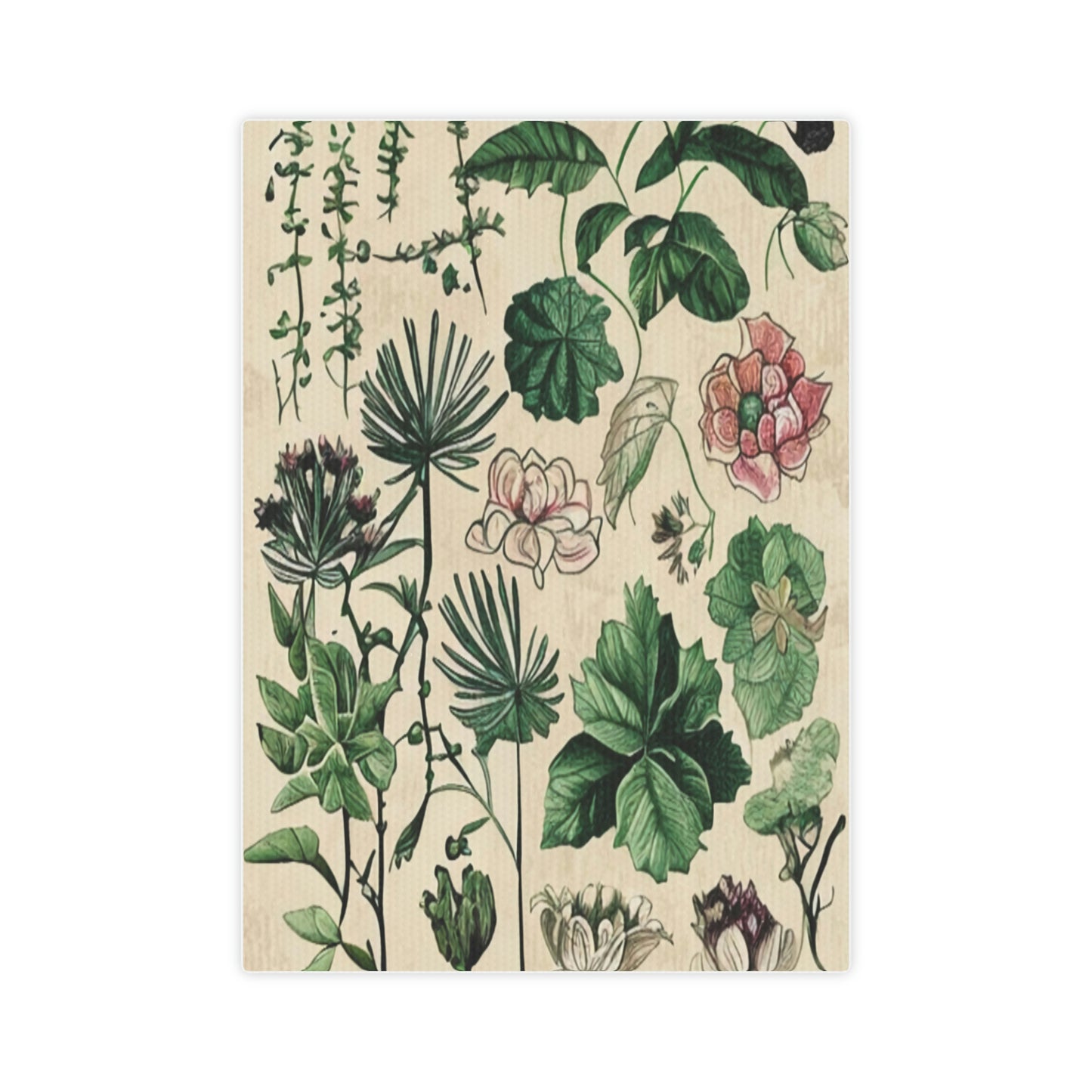 Vintage Botanical Portrait: A Timeless Masterpiece