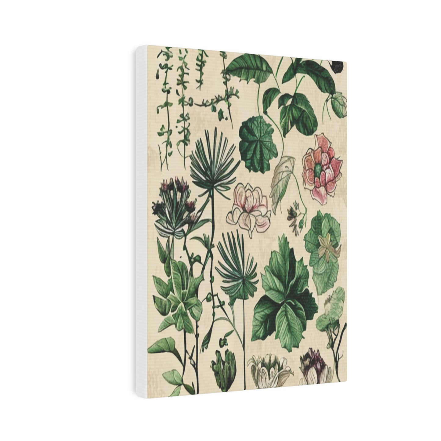 Vintage Botanical Portrait: A Timeless Masterpiece
